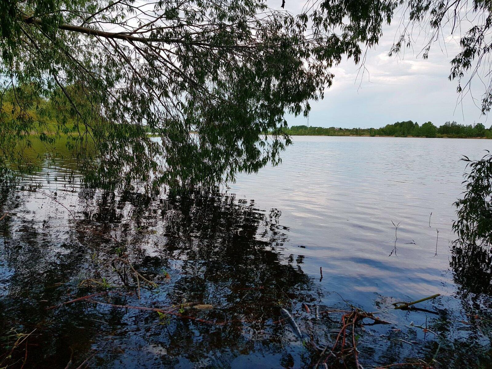 В Сибае в реке Туяляс утонул 33-летний мужчина