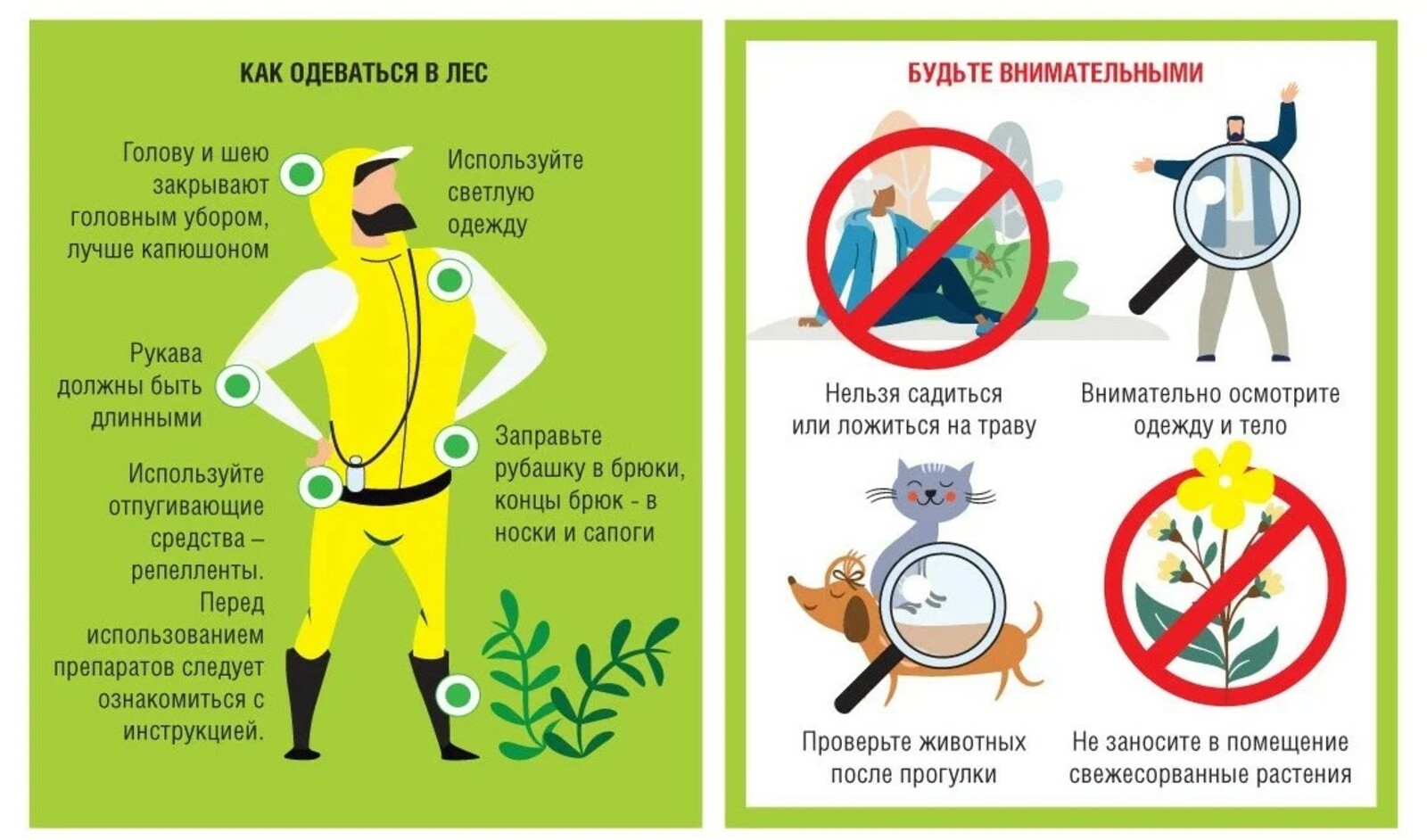 Чем опасен укус клеща?