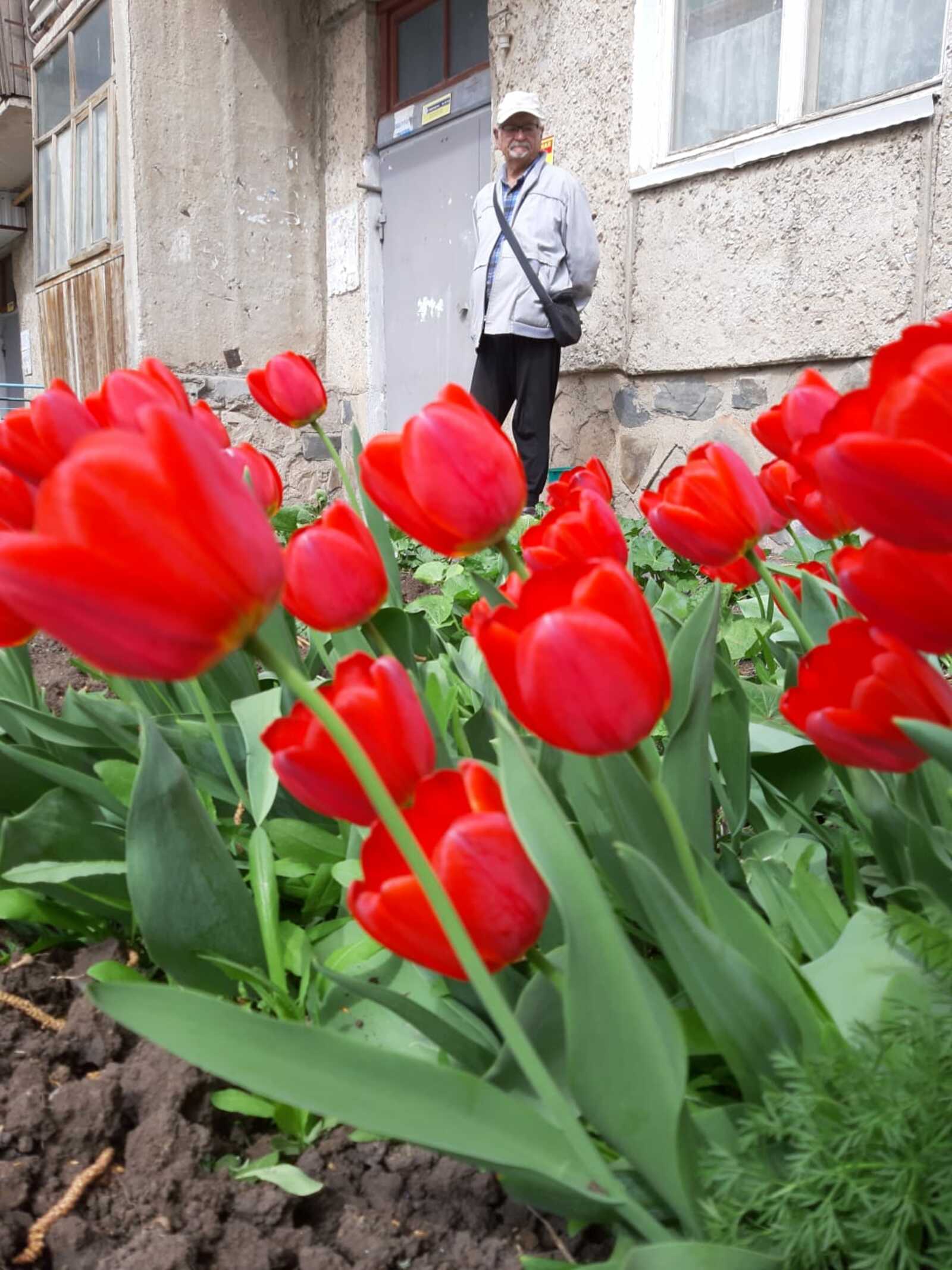 Тюльпаны от Фарука Суюндуковича