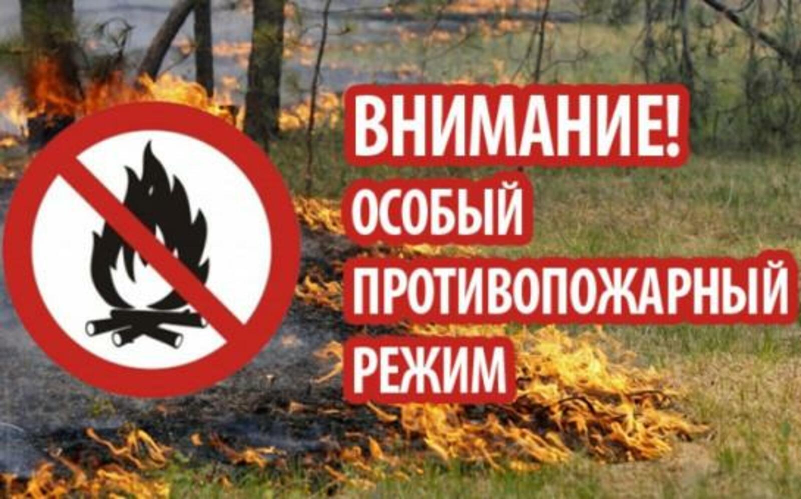 С 1 мая на территории республики вводится особый противопожарный режим