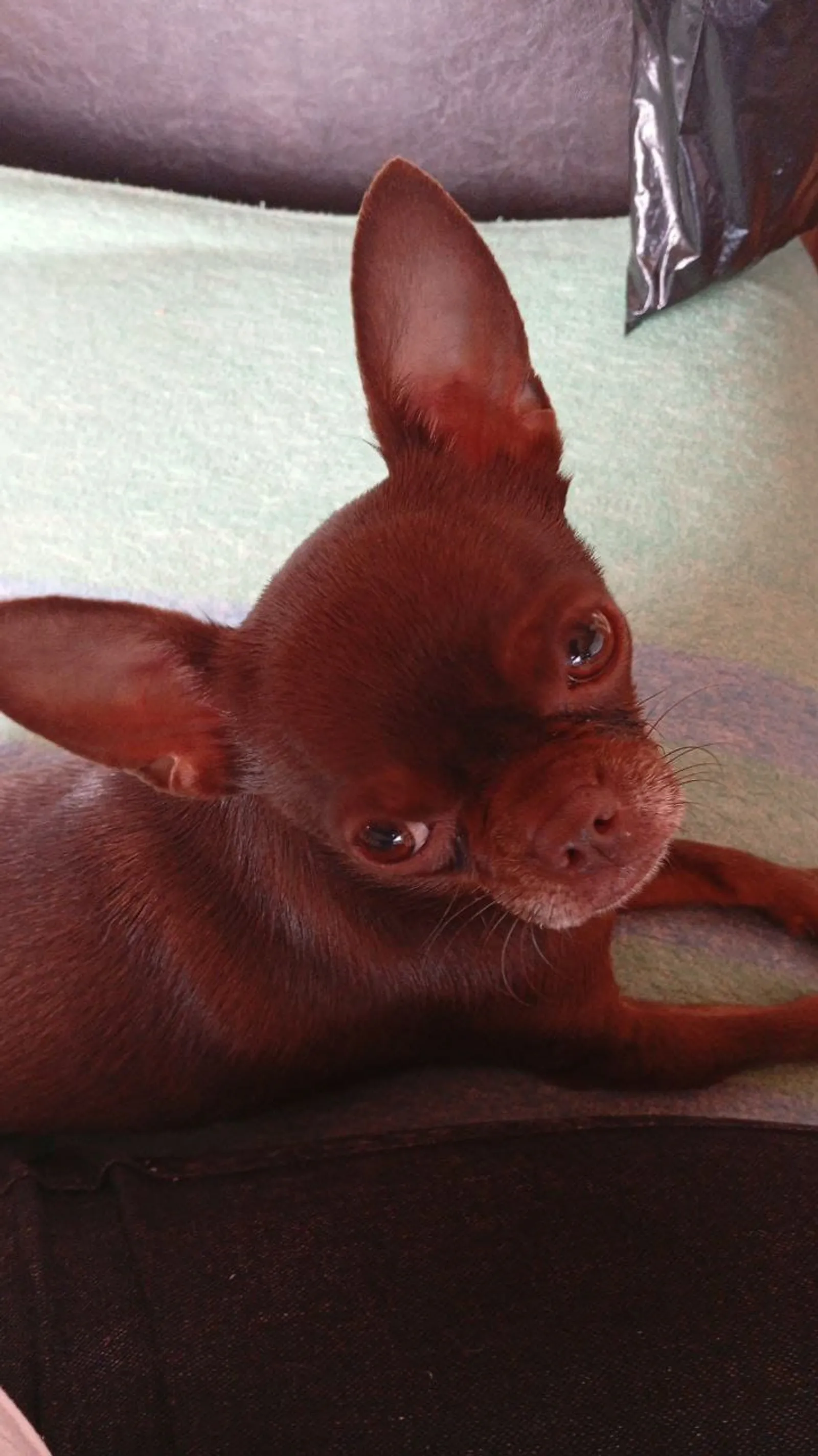 Стерилизация - основа безопасности общества