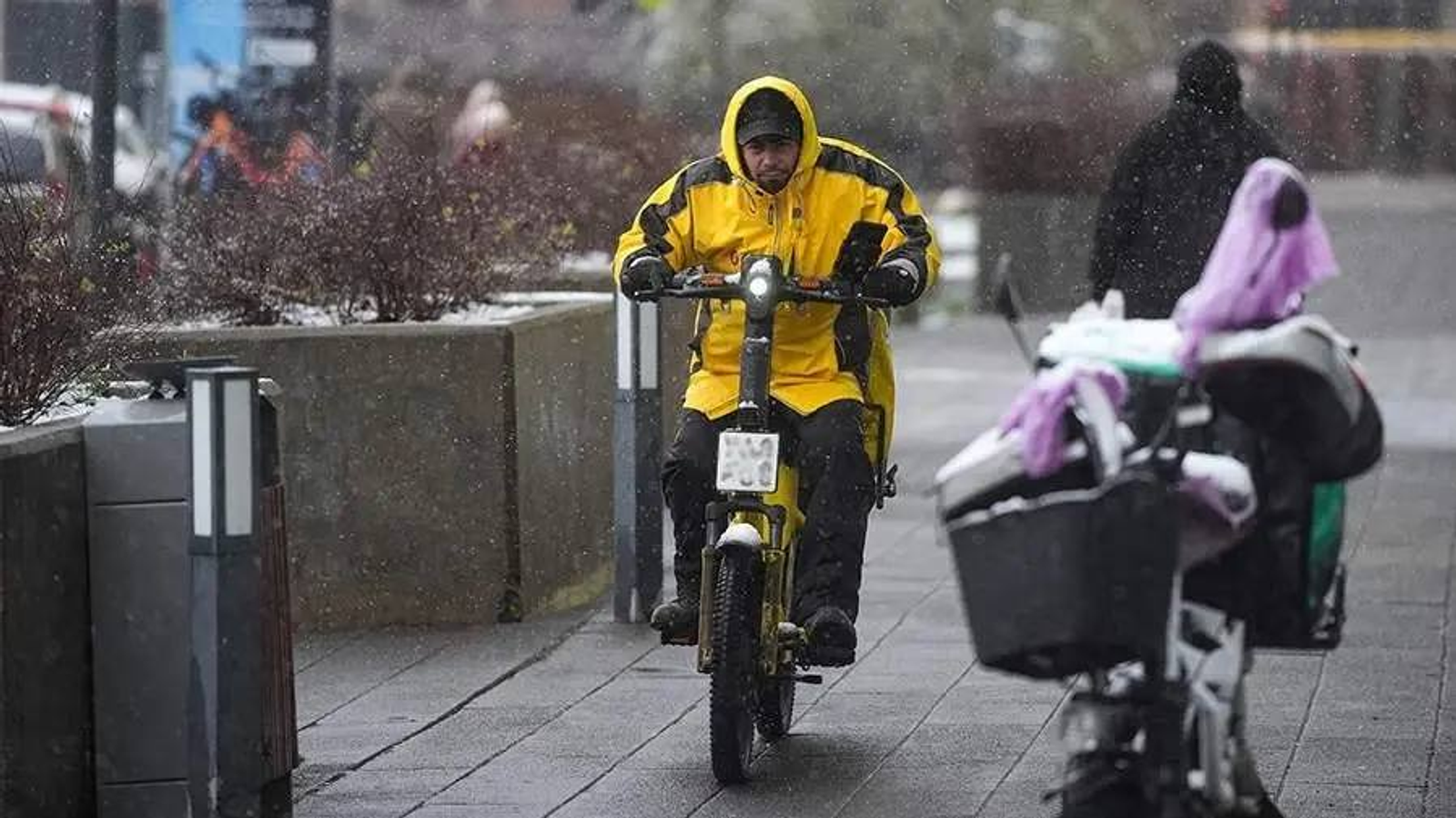 Путин потребовал от регионов разобраться с движением курьеров