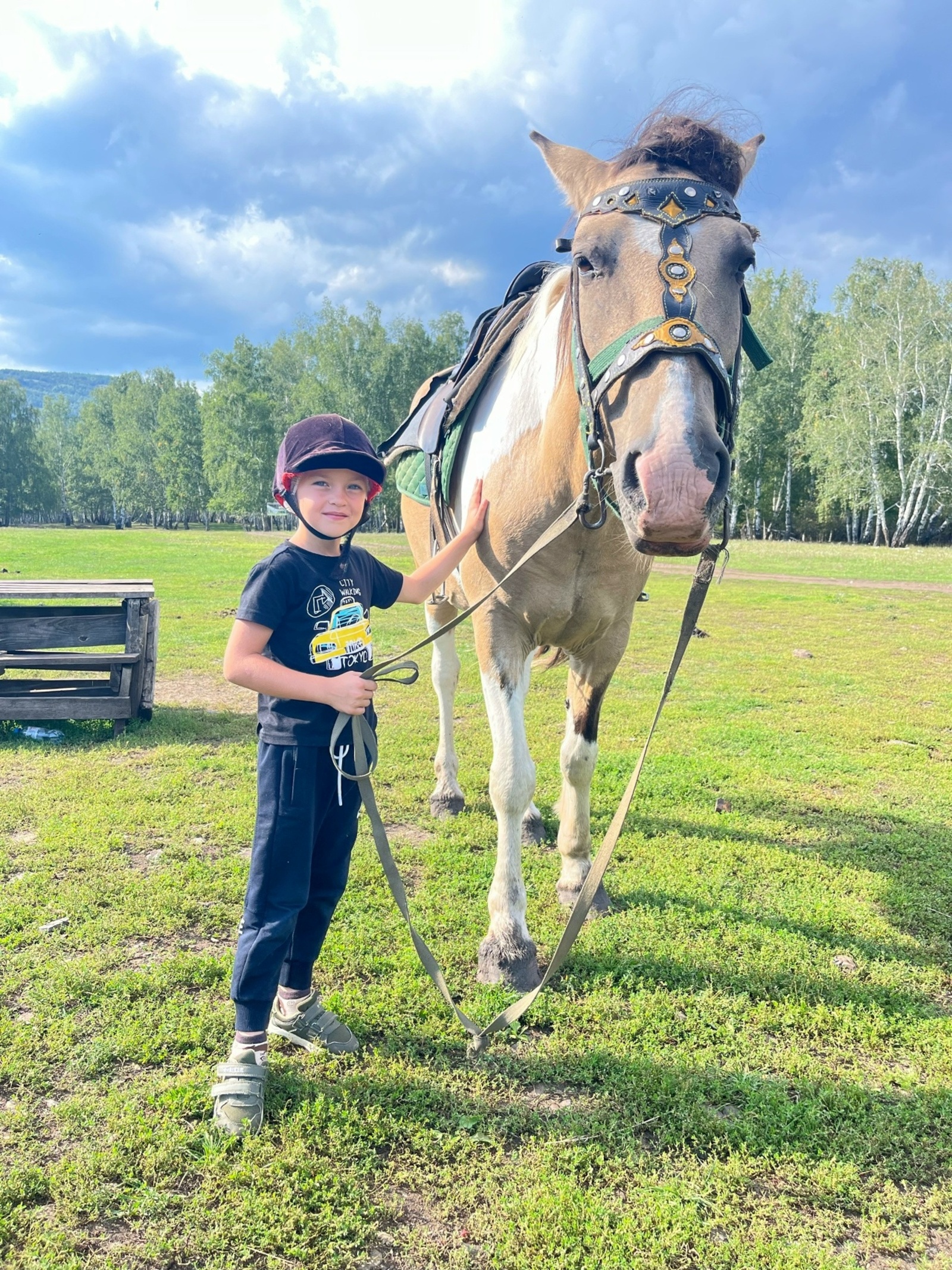 Лев - Чемпион большого будущего