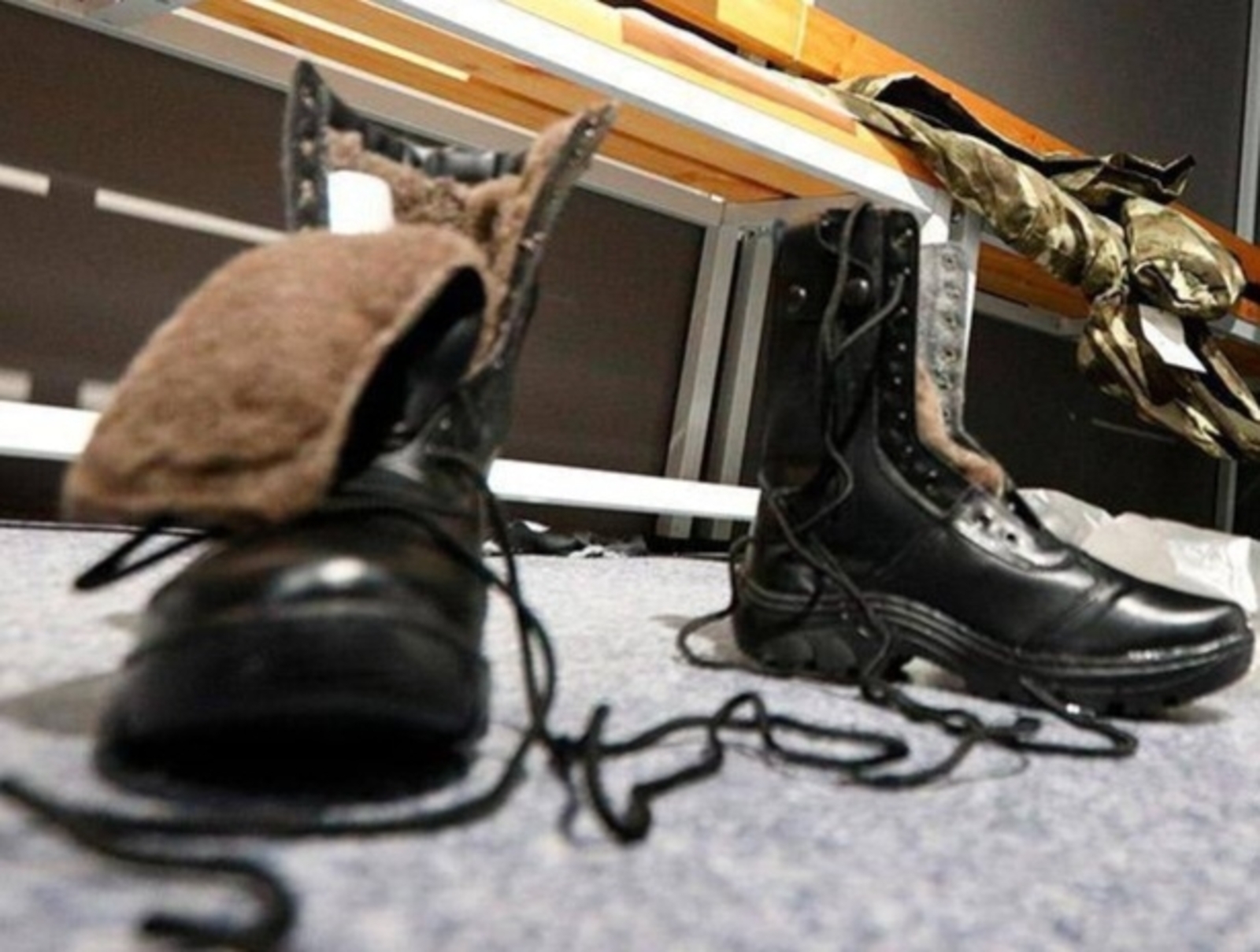 Разоренное гнездо