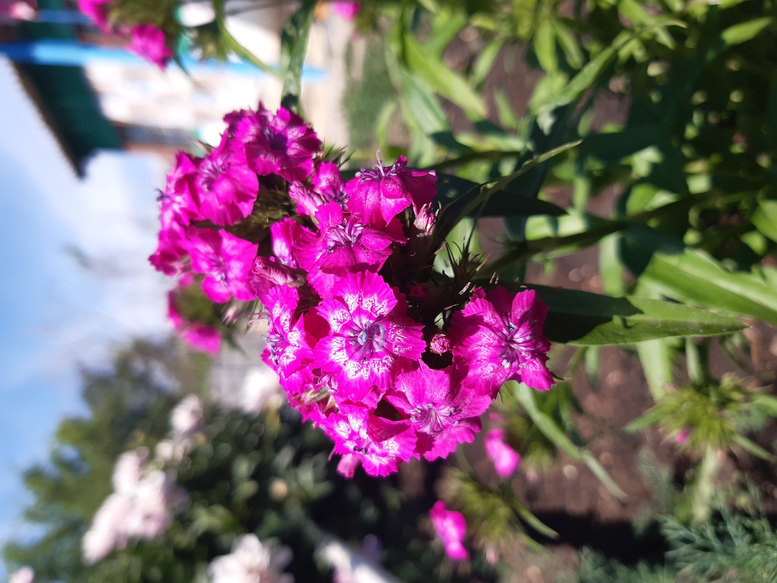 Как устроено счастье?