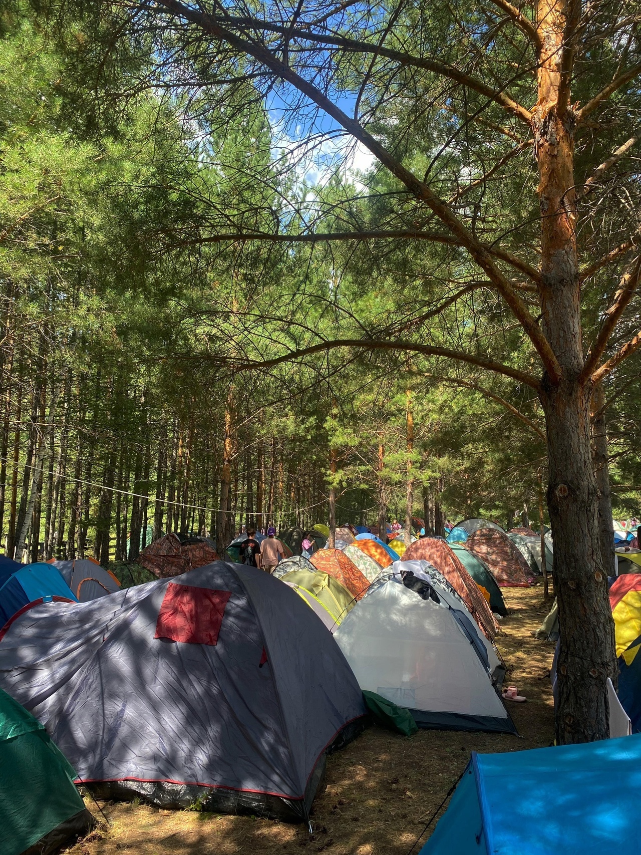 Новая волна идей и вдохновения для студентов Сибая