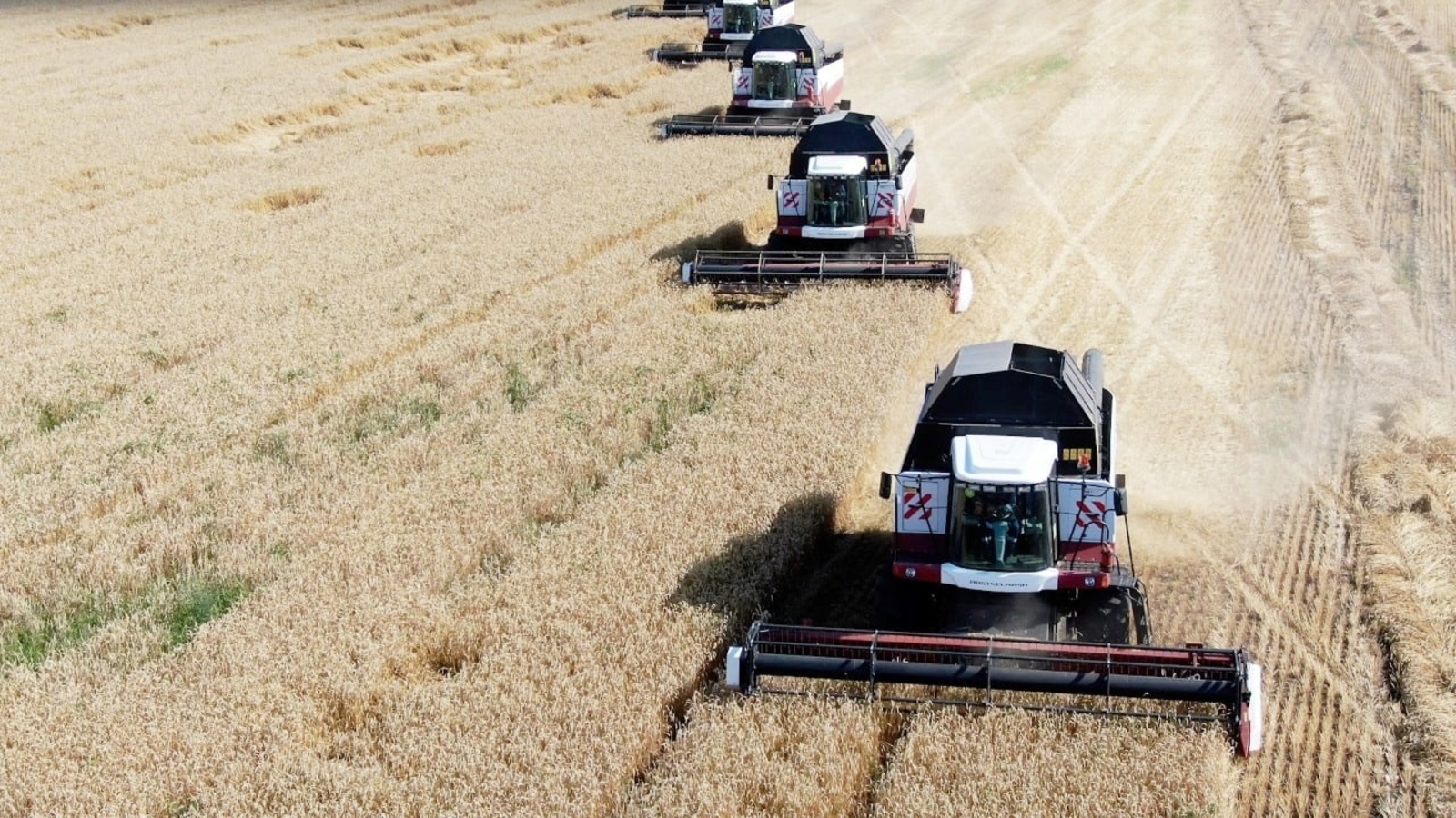 Аграрии Башкирии собрали более 5 млн тонн зерна