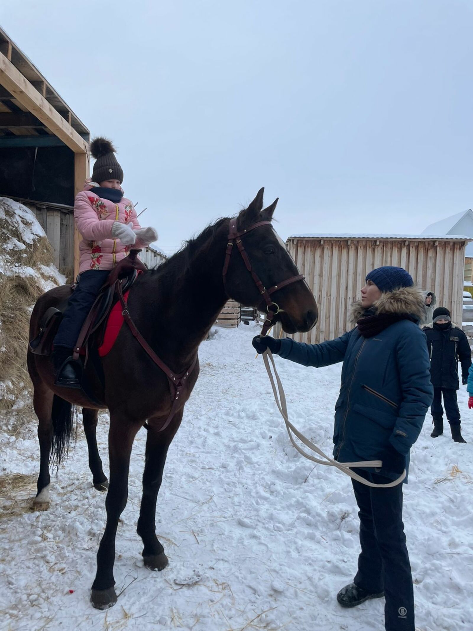Воспитанники сибайского приюта познакомились с лошадьми башкирской породы