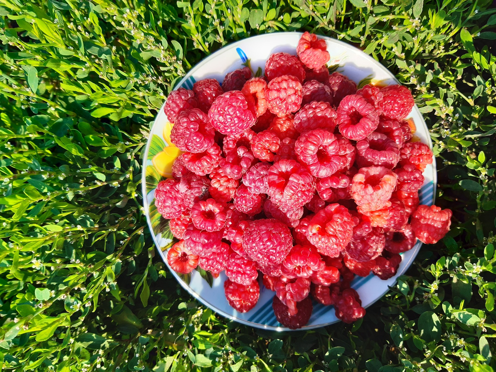 Как не заразиться кишечной инфекцией летом