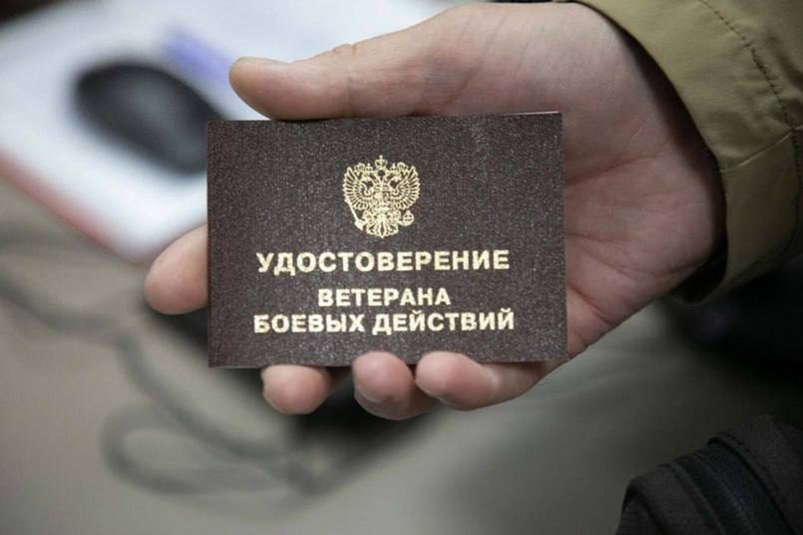 Госдума приняла закон о статусе ветерана для добровольцев