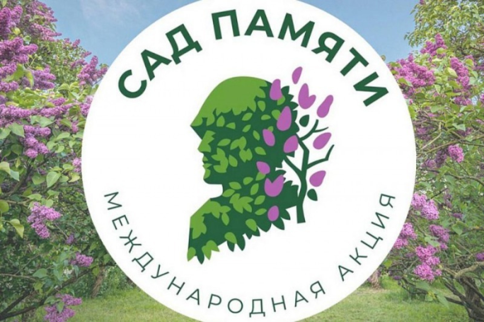 В Башкортостане высадили 580 тысяч новых деревьев