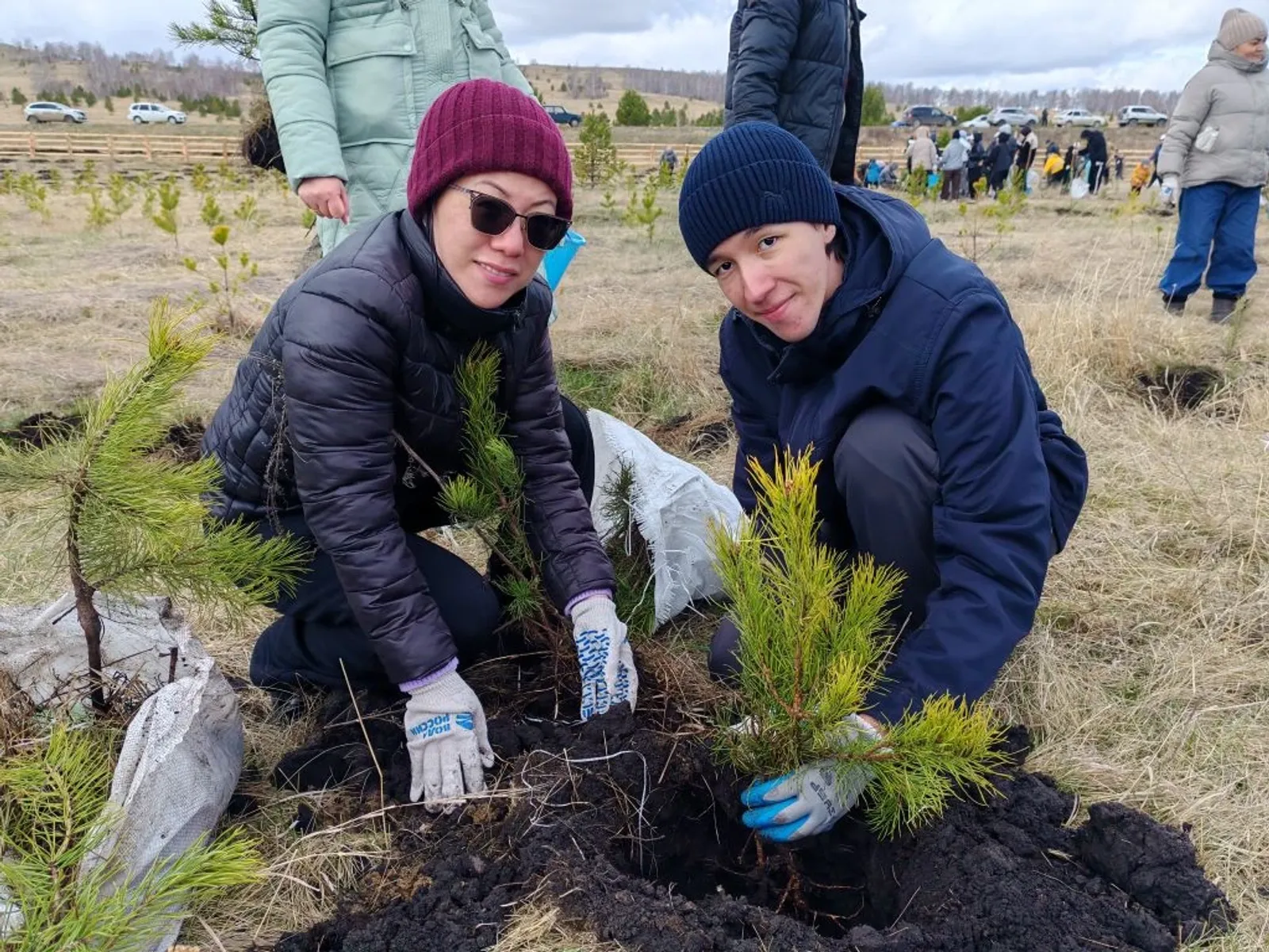 Две тысячи сосен высадили на Талкасе