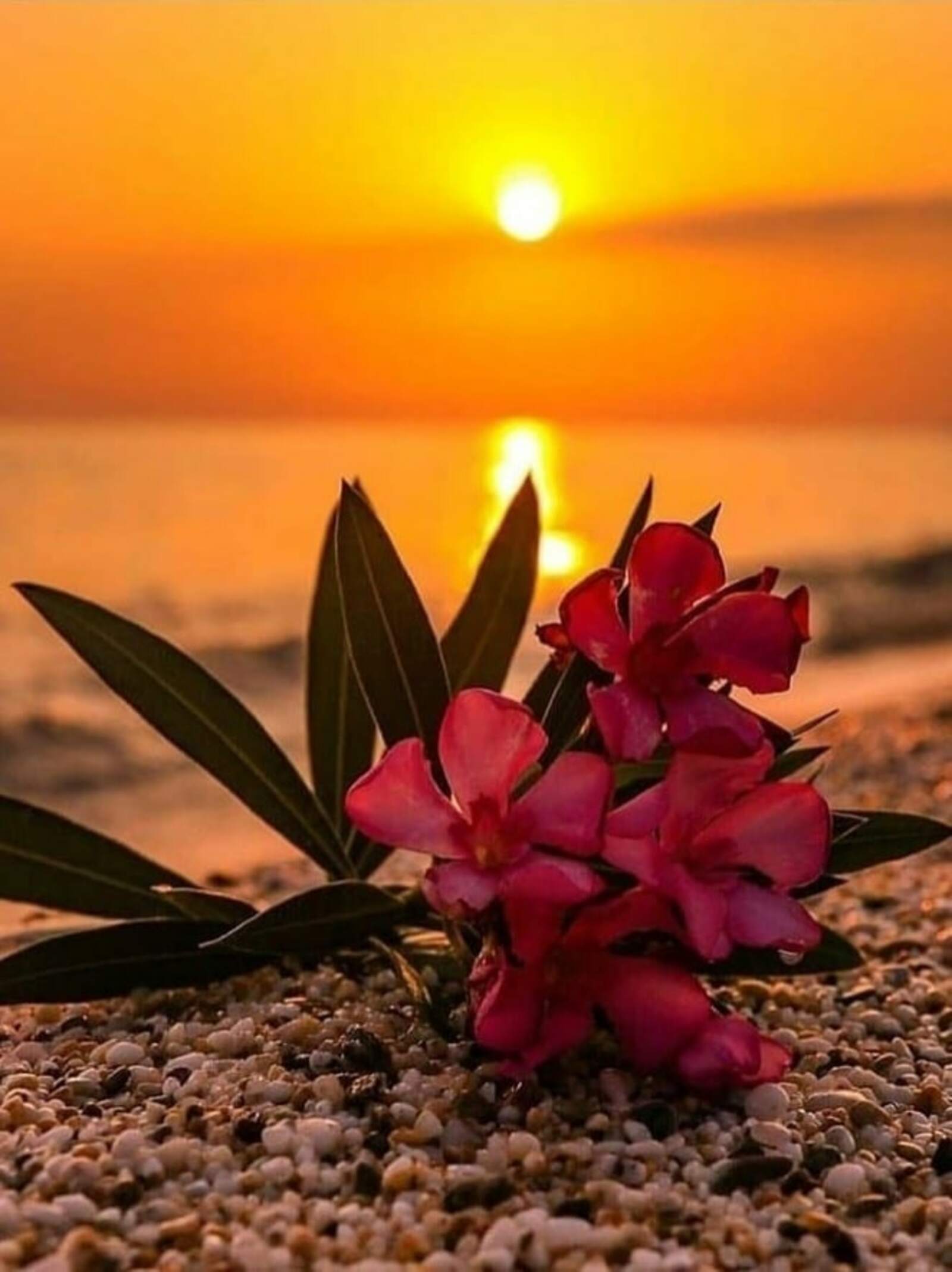 Про любовь, которая имеет много обличий