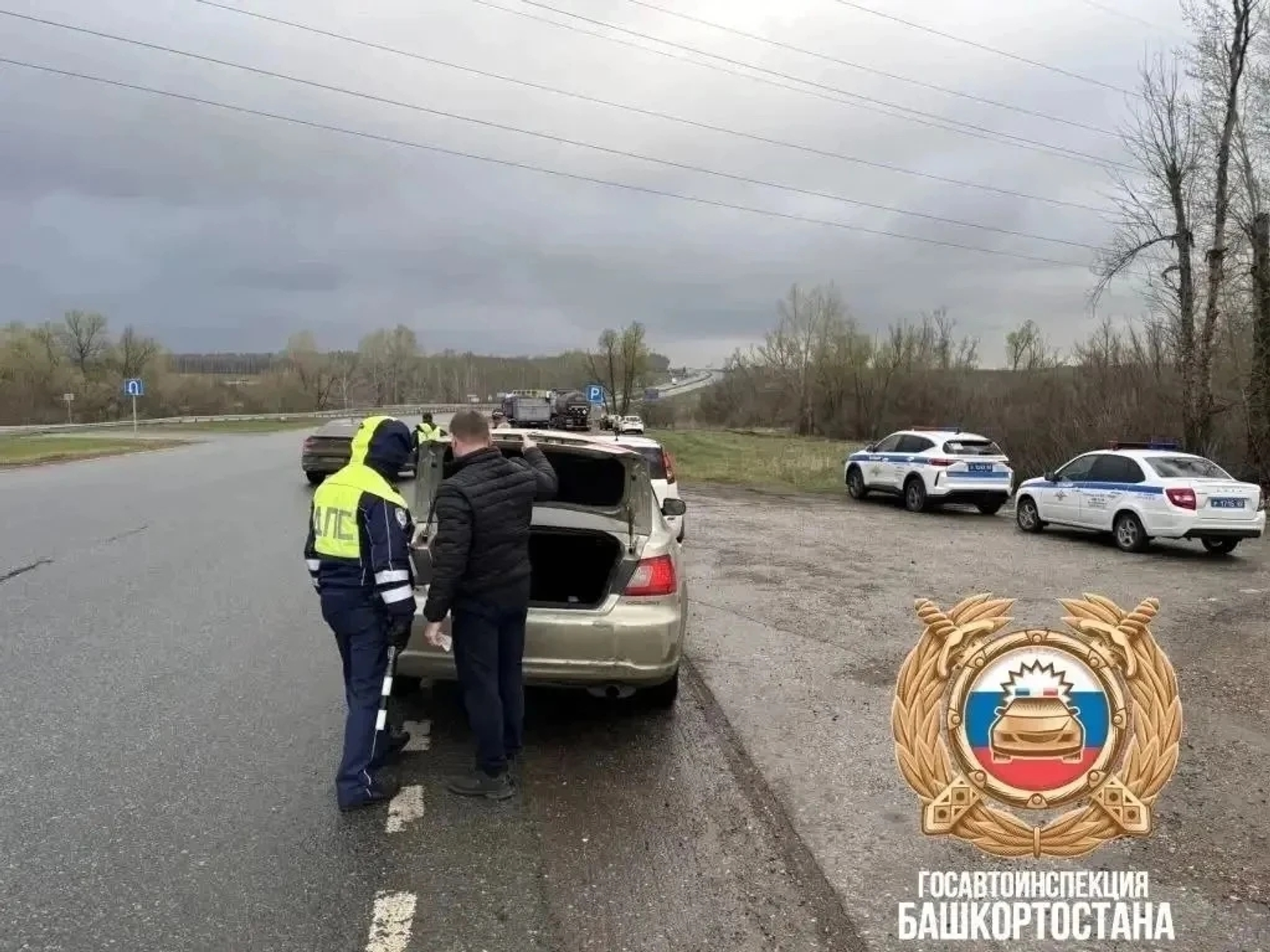 Проверяют водителей