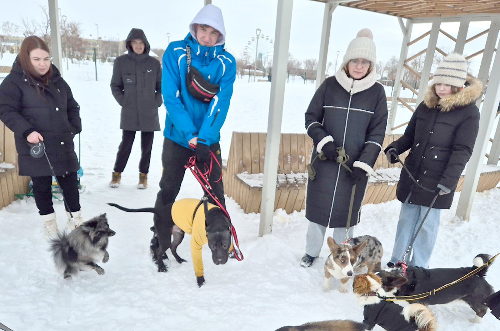 В сибайском парке организовали веселые конкурсы для собак