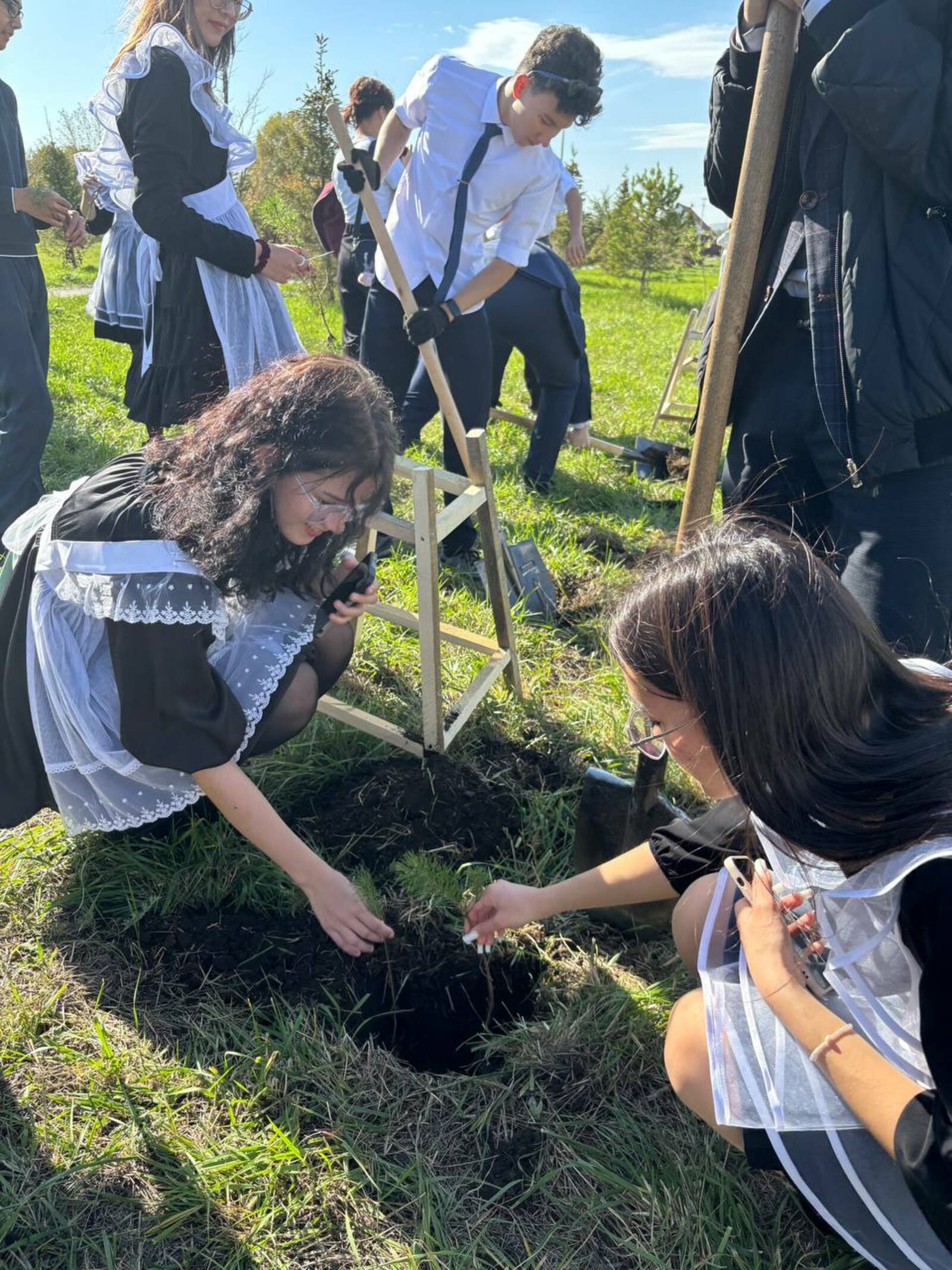 Выпускники Сибая посадили елочки в парке