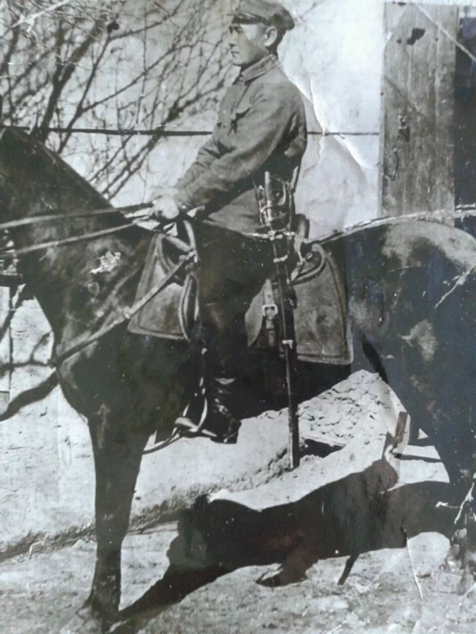 Мы победили!