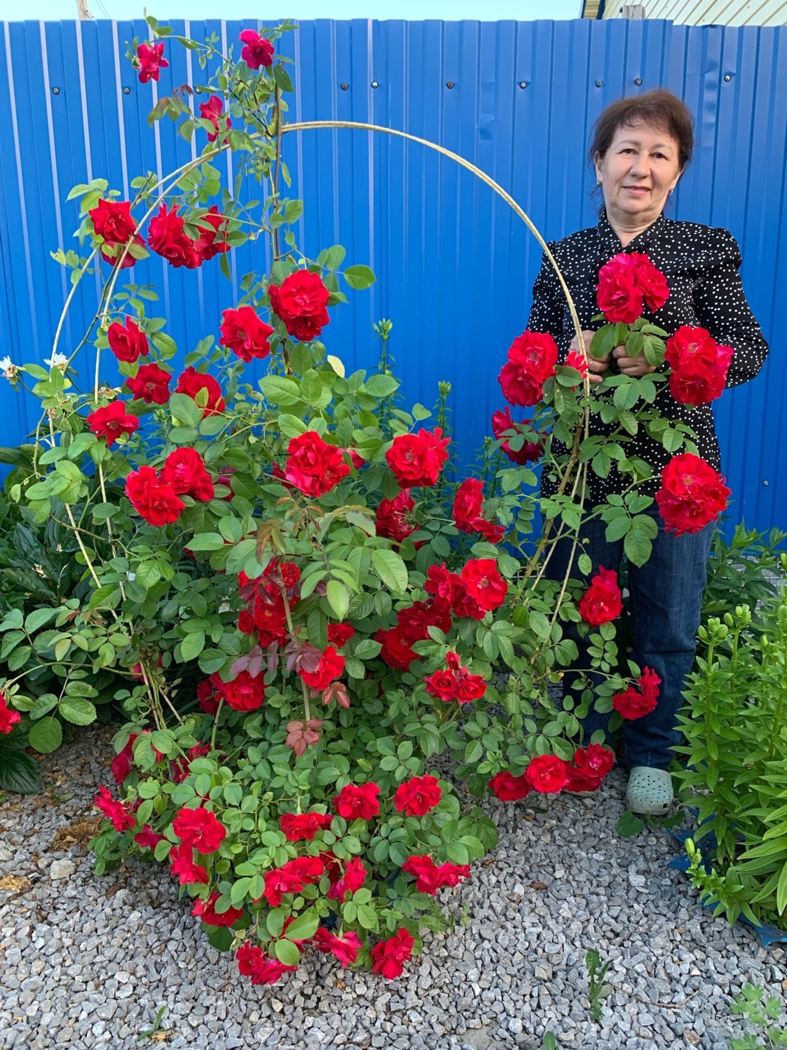 Милосердное дело Рамили Кулуевой