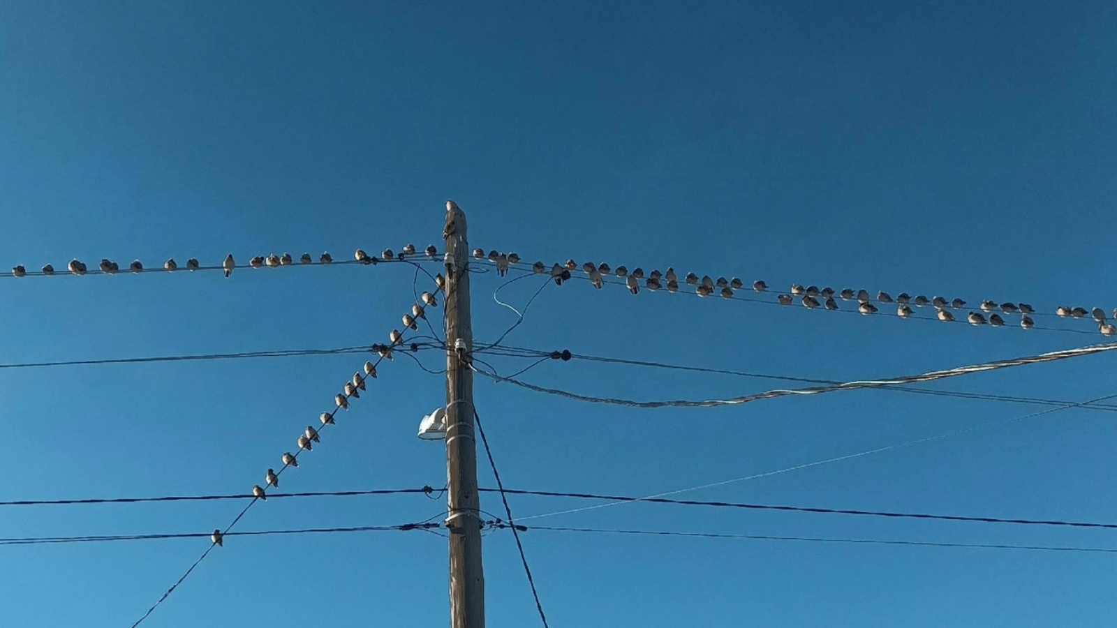 Конец света