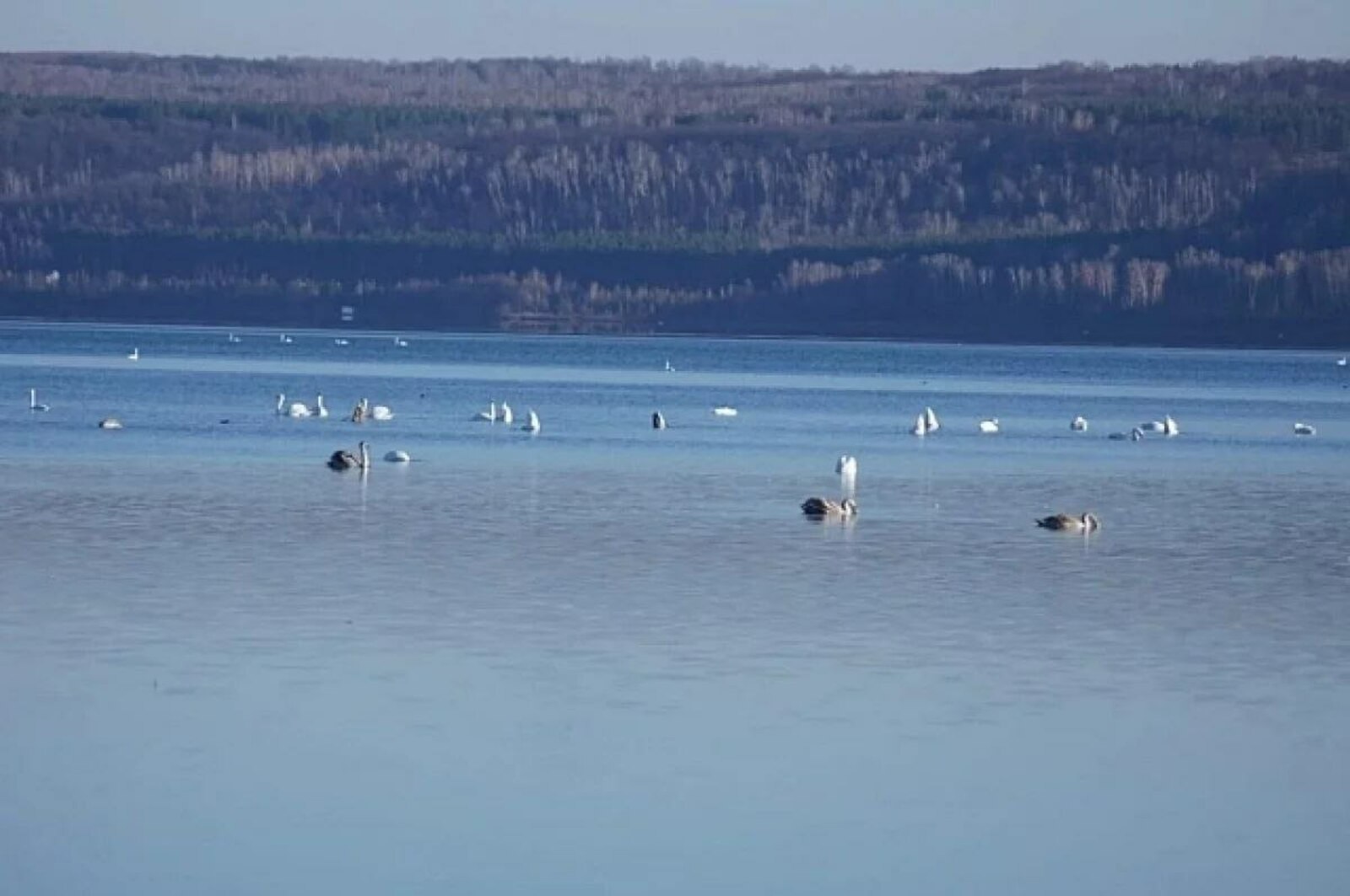 Удары судьбы