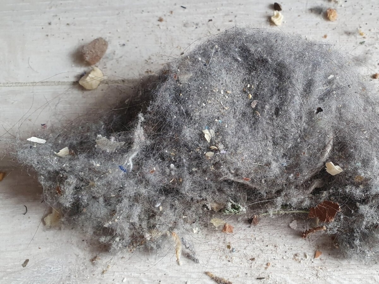 Где пыли быть не должно...